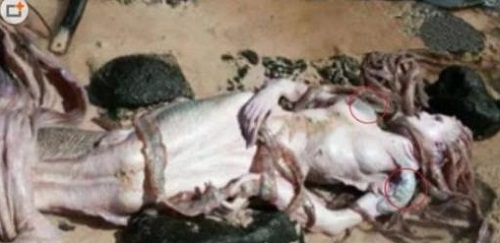 美人鱼和文章演警察的演员李尚正多大了 美人鱼和文章演警察的演员李尚正多大了