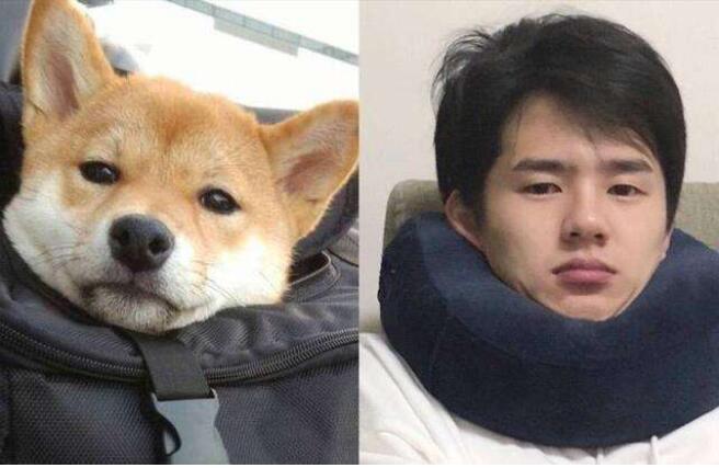 刘昊然为什么叫六块钱、小皮筋、好燃、柴犬