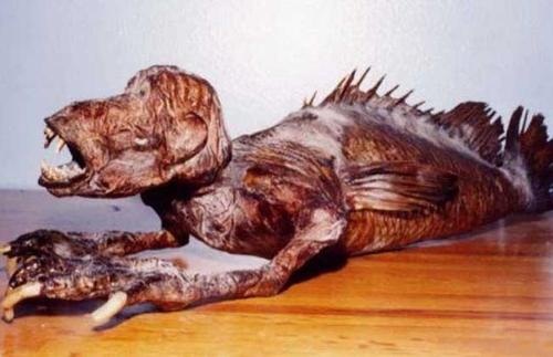 美人鱼和文章演警察的演员李尚正多大了 美人鱼和文章演警察的演员李尚正多大了