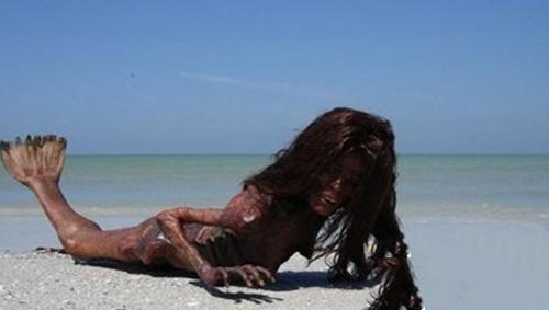 美人鱼和文章演警察的演员李尚正多大了 美人鱼和文章演警察的演员李尚正多大了