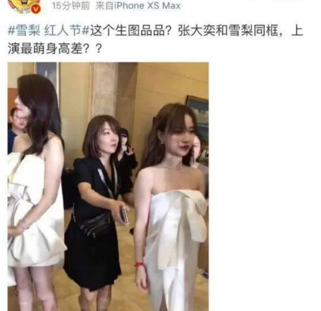 张大奕是什么学历(张大奕出生)