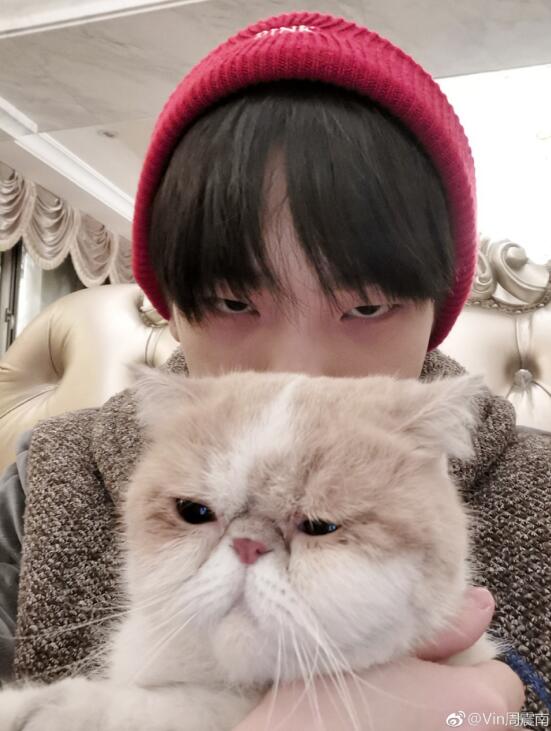 周震南和金秀贤像吗(周震南说金泰亨帅) 周震南和金秀贤像吗(周震南说金泰亨帅)