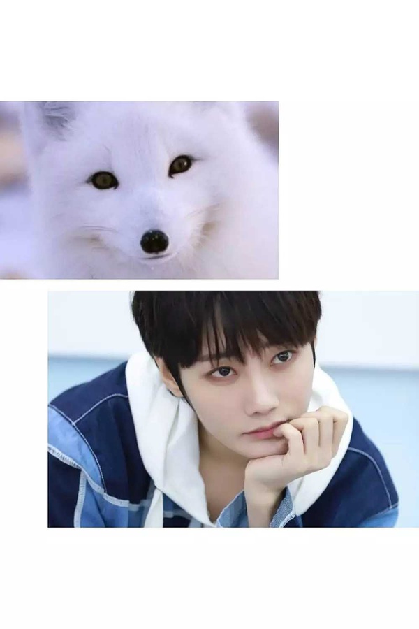 刘也为什么叫小狐狸(小狐狸是谁) 刘也为什么叫小狐狸(小狐狸是谁)