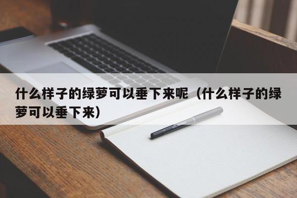 什么样子的绿萝可以垂下来呢（什么样子的绿萝可以垂下来） 