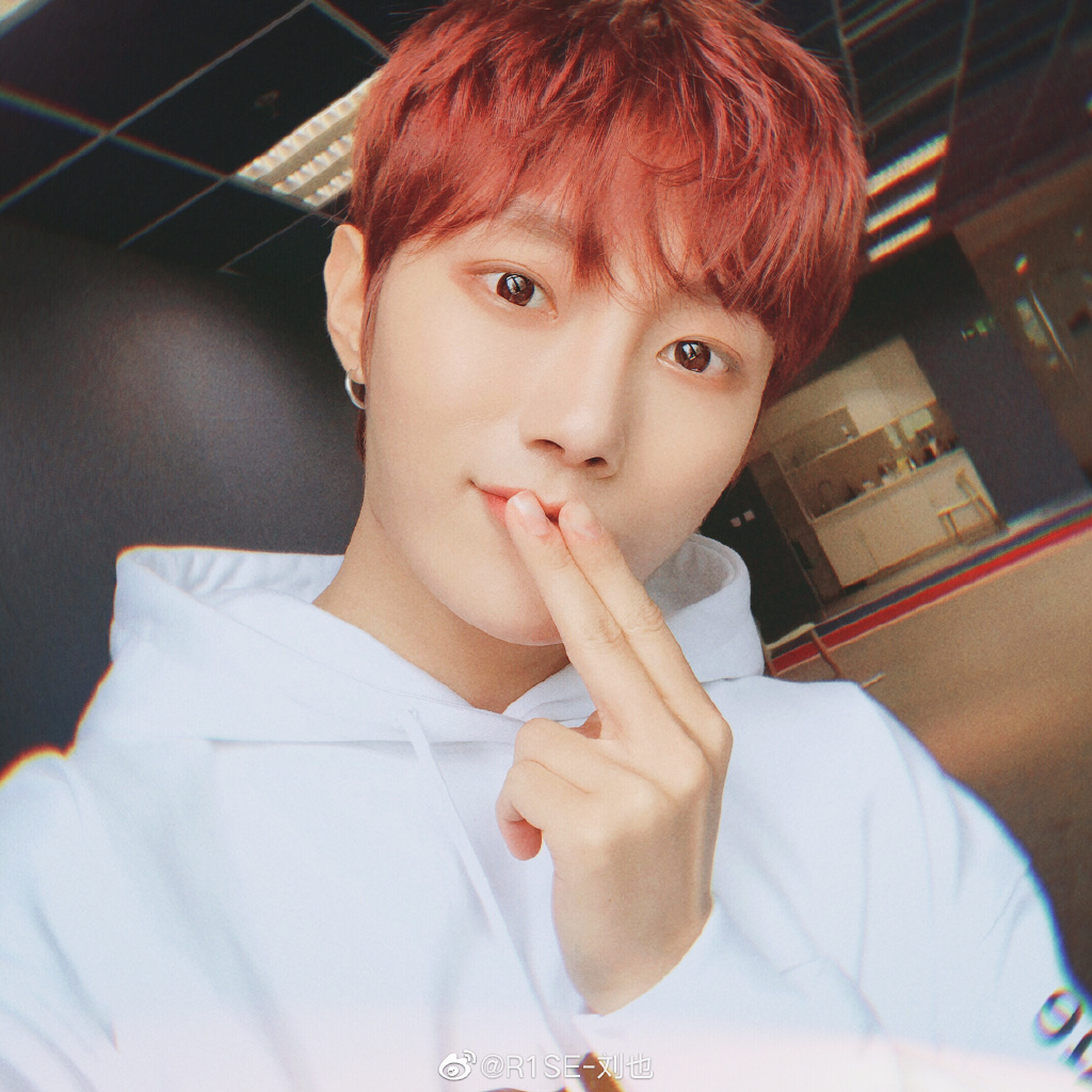 刘也为什么叫小狐狸(小狐狸是谁) 刘也为什么叫小狐狸(小狐狸是谁)