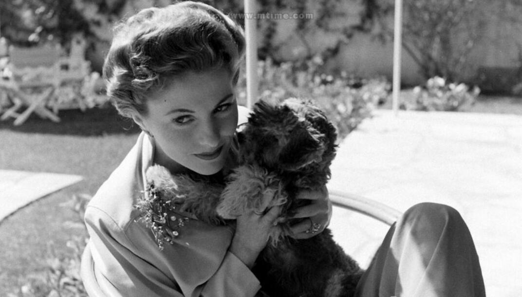 琼芳登为什么恨费雯丽(琼芳登和费雯丽谁漂亮) 琼芳登为什么恨费雯丽(琼芳登和费雯丽谁漂亮)