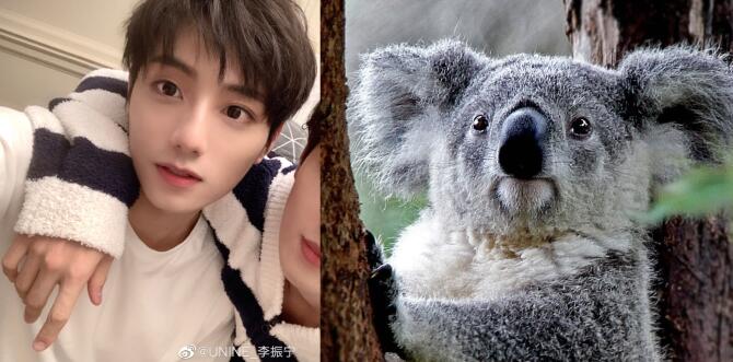 李振宁为什么叫考拉、蘑菇 李振宁为什么叫考拉、蘑菇