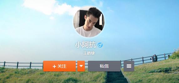 王鹤棣为什么叫小阿抗、didi 王鹤棣为什么叫小阿抗、didi