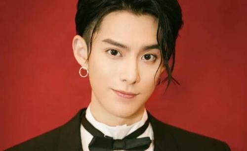 王鹤棣为什么叫小阿抗、didi 王鹤棣为什么叫小阿抗、didi