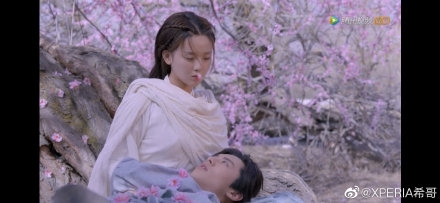 王鹤棣为什么叫小阿抗、didi 王鹤棣为什么叫小阿抗、didi