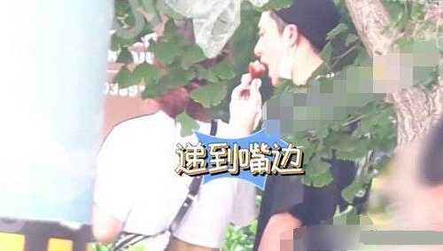 王鹤棣为什么叫小阿抗、didi 王鹤棣为什么叫小阿抗、didi