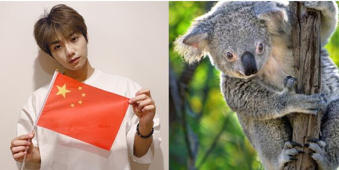 李振宁为什么叫考拉、蘑菇 李振宁为什么叫考拉、蘑菇