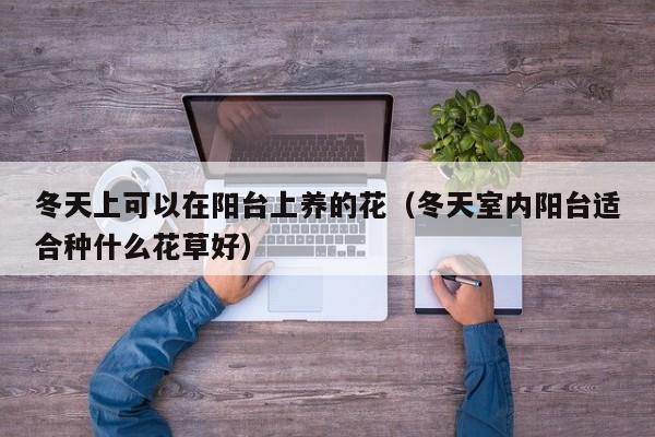 冬天上可以在阳台上养的花（冬天室内阳台适合种什么花草好） 