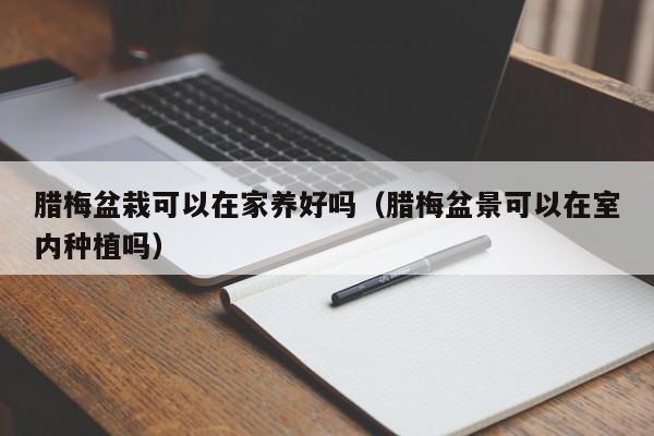 腊梅盆栽可以在家养好吗（腊梅盆景可以在室内种植吗） 