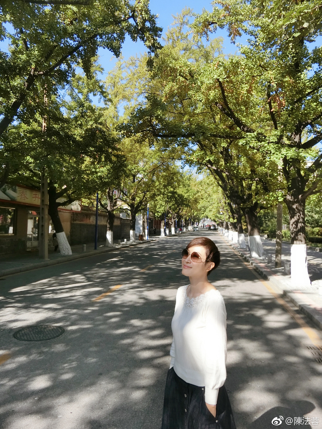 倪震为何没选陈法蓉(倪震谈过几个)