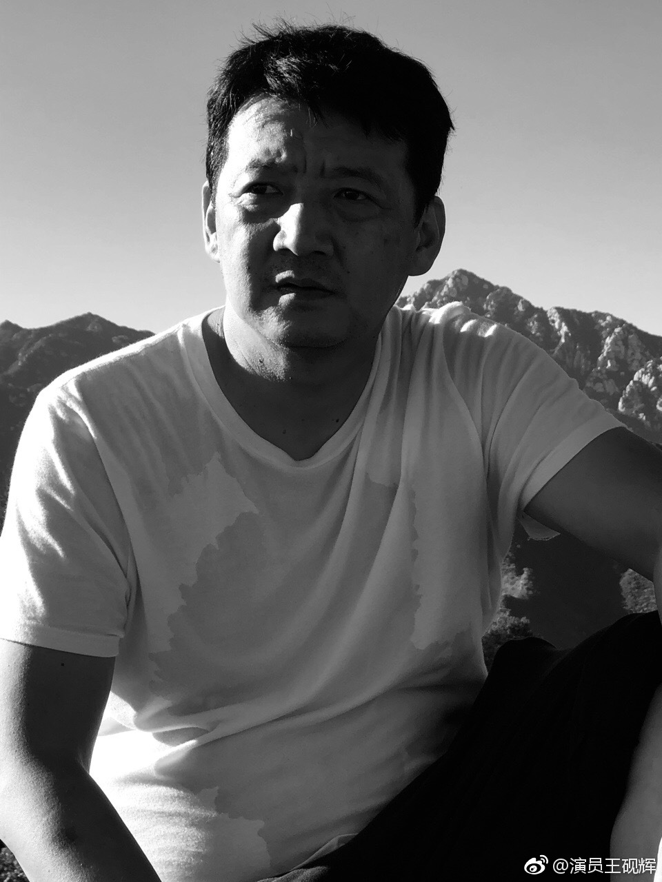 王砚辉九孔长的好像一个人