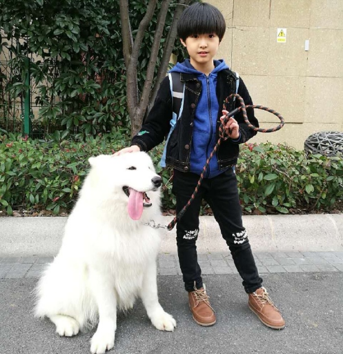 平儿魏之皓是男孩还是女孩？魏之皓父母是谁(魏之皓爸爸)