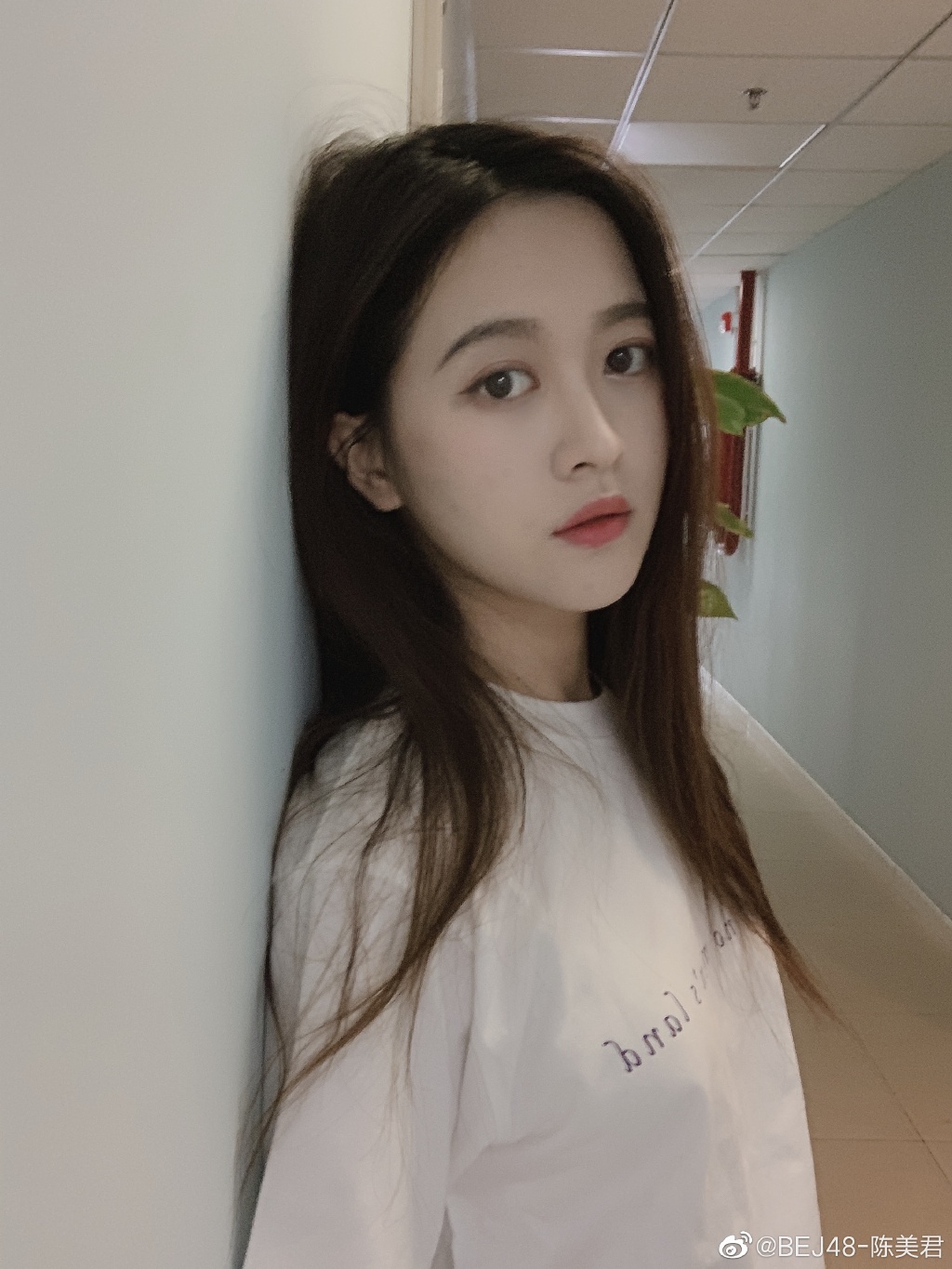 陈美君为什么离开1931