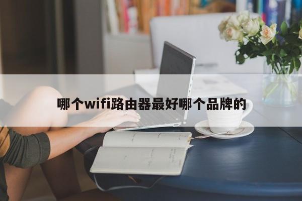 哪个wifi路由器最好哪个品牌的 