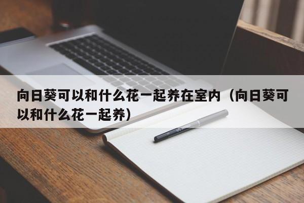 向日葵可以和什么花一起养在室内（向日葵可以和什么花一起养） 