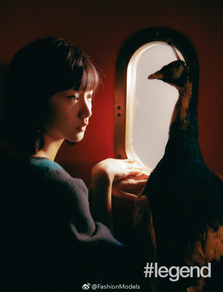 怎样才能找到野生太岁(野生太岁一般长在哪里) 怎样才能找到野生太岁(野生太岁一般长在哪里)