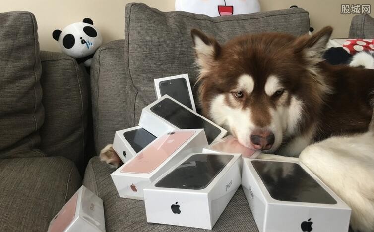 王可可怎么被思聪收养的？王可可为什么赵子(王思聪家的王可可)