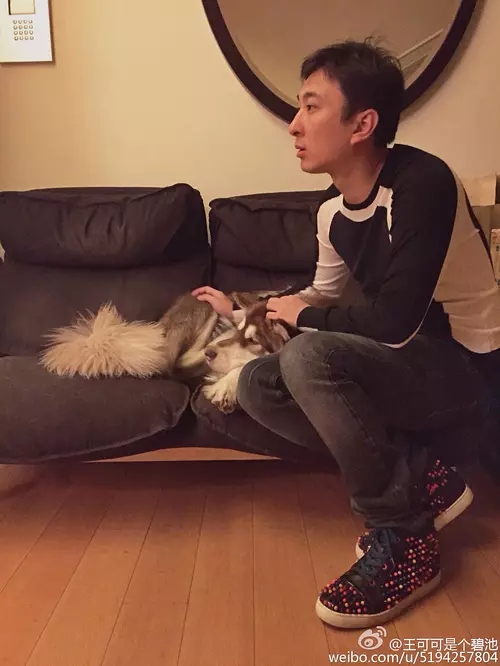 王可可怎么被思聪收养的？王可可为什么赵子(王思聪家的王可可)