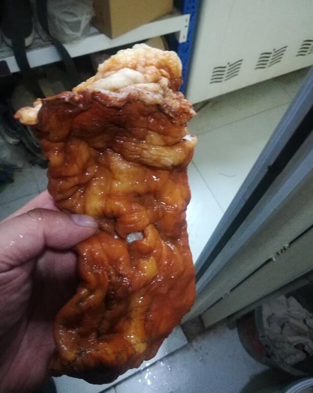 怎样才能找到野生太岁(野生太岁一般长在哪里) 怎样才能找到野生太岁(野生太岁一般长在哪里)