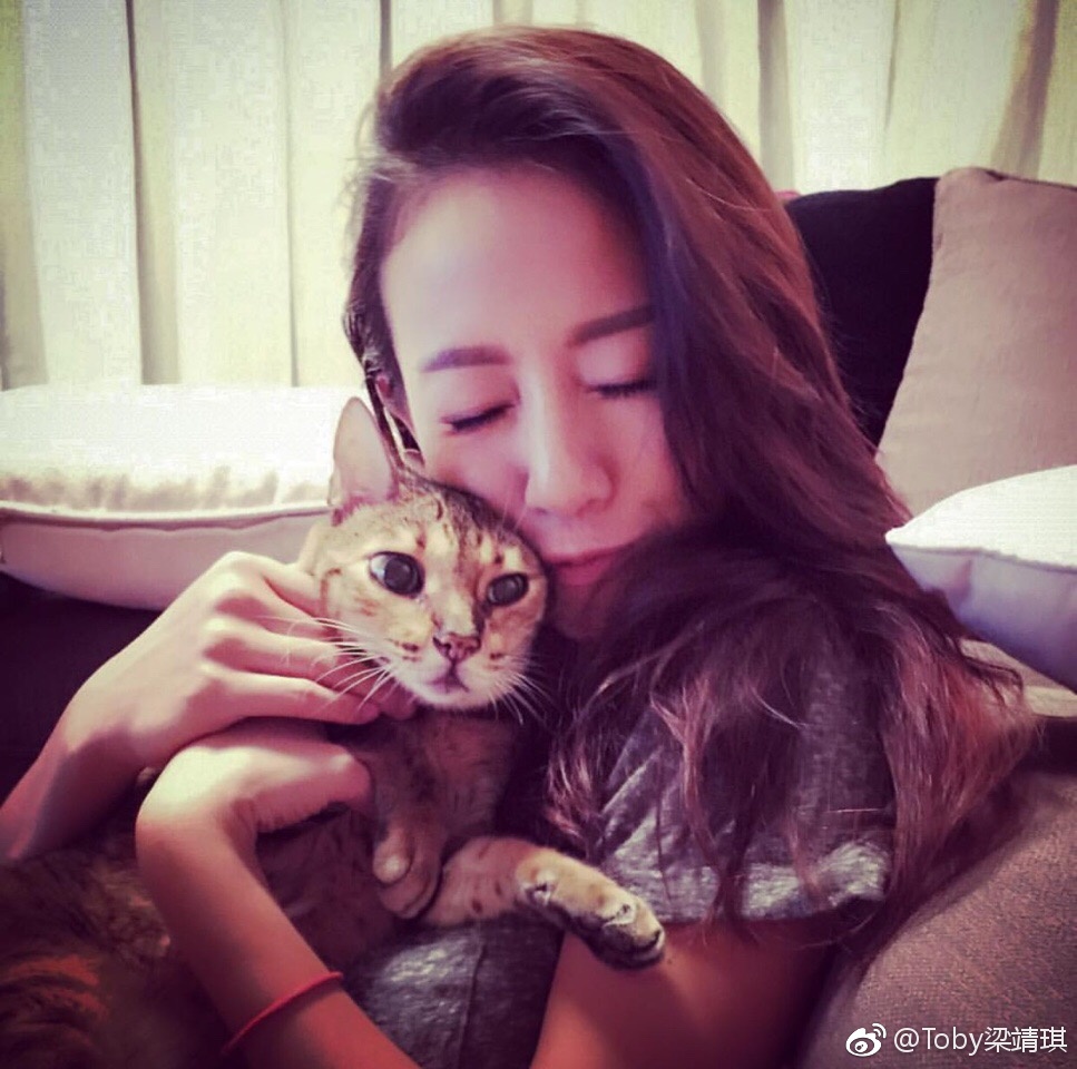 梁靖琪蔡思贝长得好像对比图(蔡思贝和谁长得像) 梁靖琪蔡思贝长得好像对比图(蔡思贝和谁长得像)