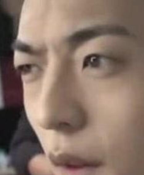 真实的金鱼眼是什么样子图片(金鱼眼女人图片)