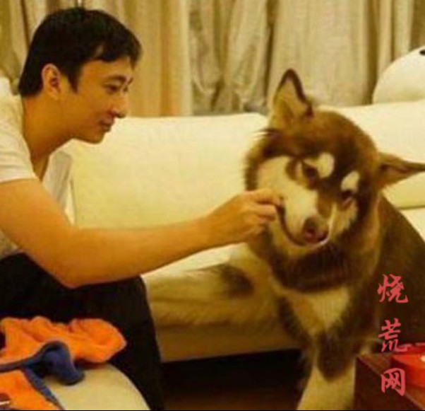 王可可是公的还是母的？王可可是王思聪捡来