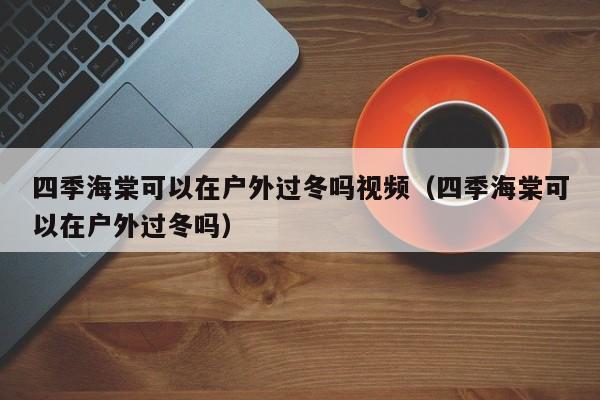 四季海棠可以在户外过冬吗视频（四季海棠可以在户外过冬吗） 
