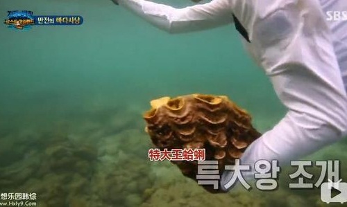 李烈音抓的巨蛤照片