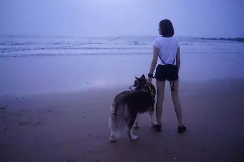 王可可怎么被思聪收养的？王可可为什么赵子(王思聪家的王可可)