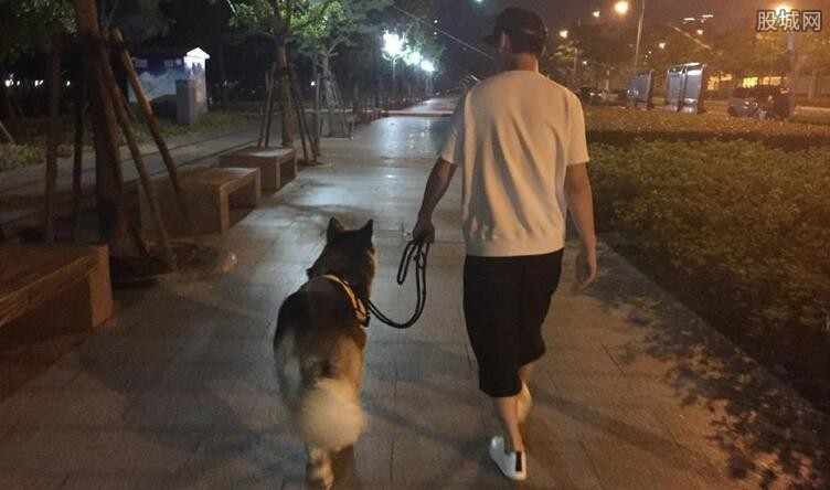 王可可怎么被思聪收养的？王可可为什么赵子(王思聪家的王可可)