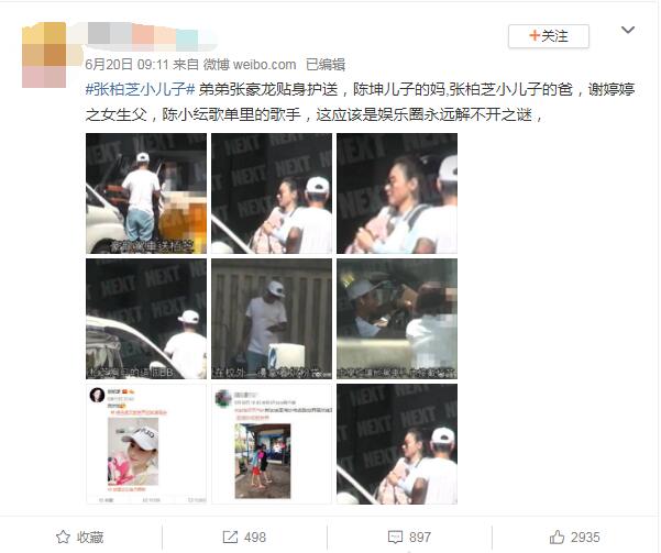 张豪龙和张柏芝是双胞胎吗(张柏芝龙凤双胞胎)