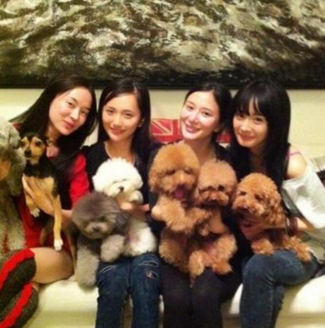 肖雨雨是杨幂旗下艺人吗(周冬雨是杨幂旗下的吗)