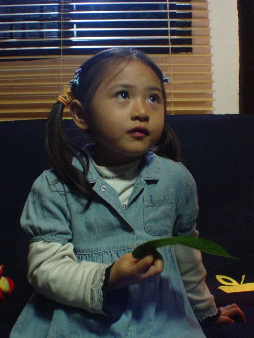 童星演员张楚倩现在的照片(内地女演员张倩)