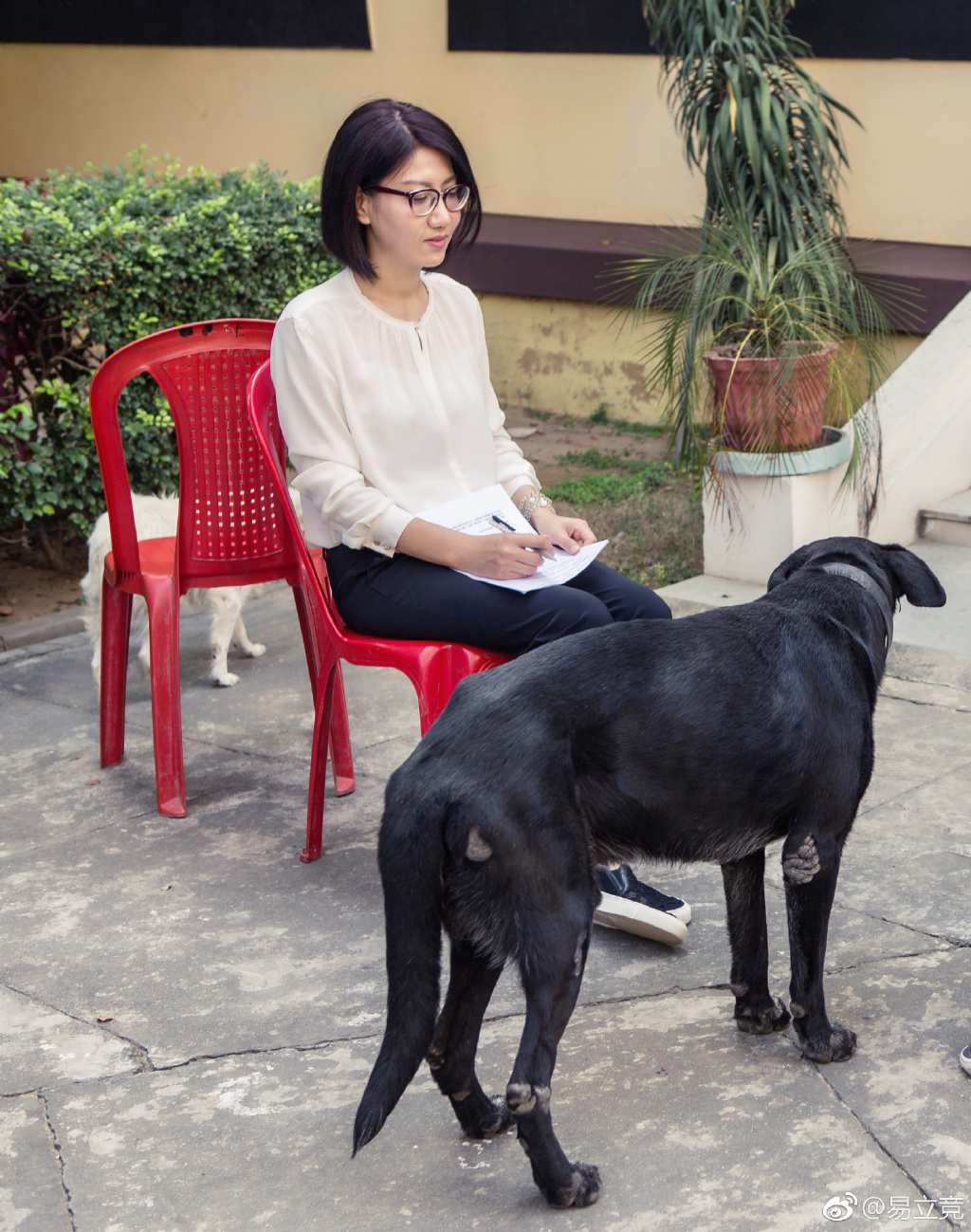 易立竞结婚没她是哪年出生的(易立竞结婚了嘛)