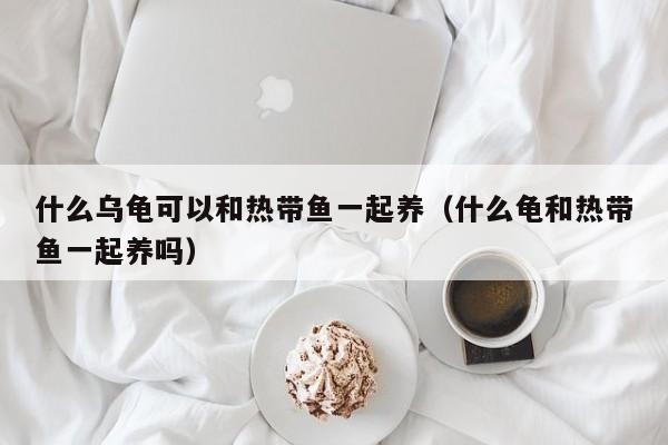 什么乌龟可以和热带鱼一起养（什么龟和热带鱼一起养吗） 