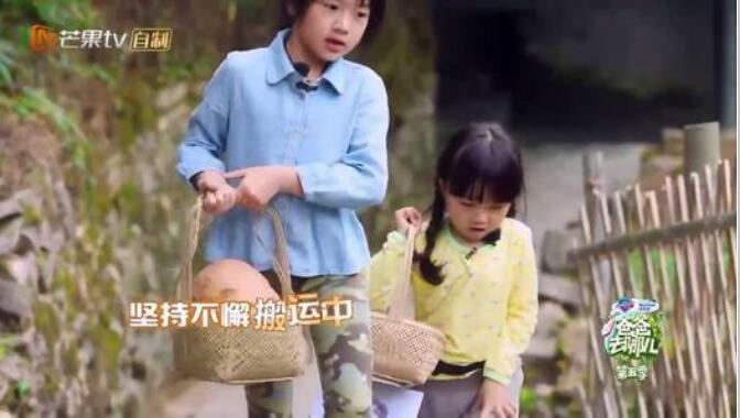 neinei中文是什么意思(为什么叫neinei)