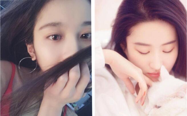 张慧雯为什么看起来特有气质(张慧雯不好看)