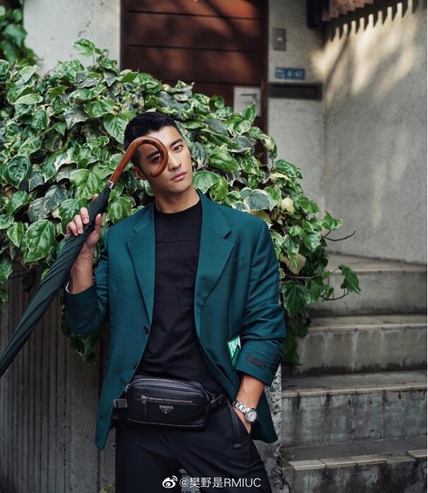 樊野为什么叫樊梨花(樊梨花还是樊梨花)