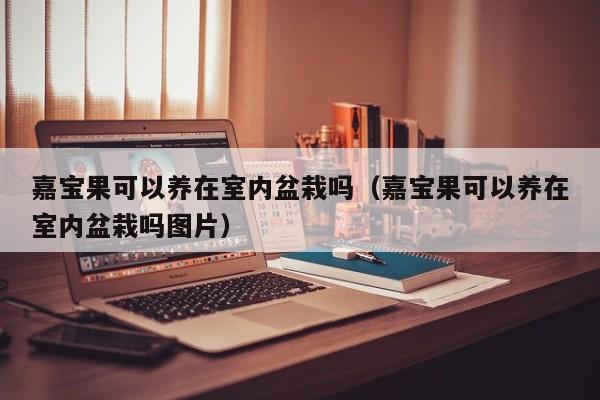 嘉宝果可以养在室内盆栽吗（嘉宝果可以养在室内盆栽吗图片） 