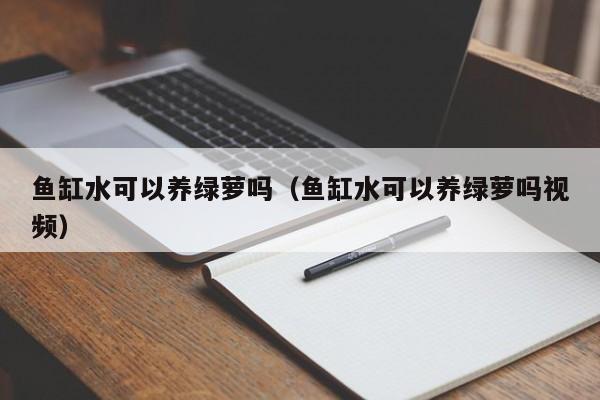 鱼缸水可以养绿萝吗（鱼缸水可以养绿萝吗视频） 