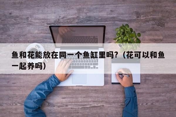 鱼和花能放在同一个鱼缸里吗?（花可以和鱼一起养吗） 