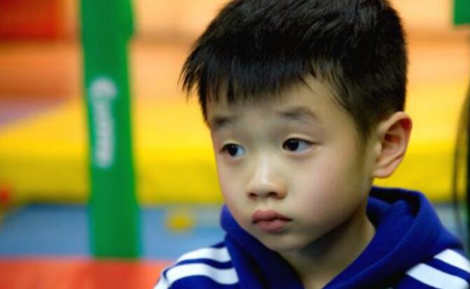 杨阳洋和小小春撞脸对比图(杨阳洋小时候照片) 杨阳洋和小小春撞脸对比图(杨阳洋小时候照片)