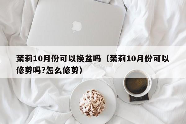 茉莉10月份可以换盆吗（茉莉10月份可以修剪吗?怎么修剪） 
