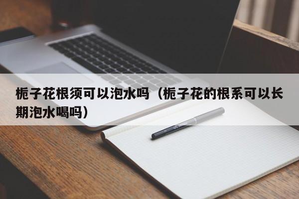 栀子花根须可以泡水吗（栀子花的根系可以长期泡水喝吗） 