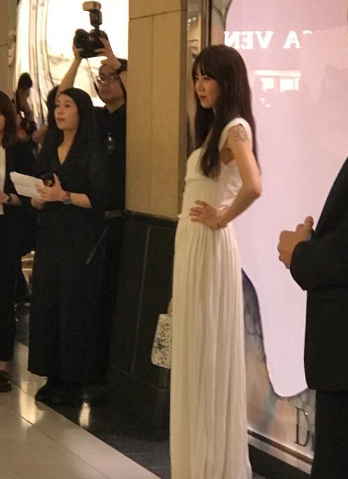 孔孝真的狗是什么品种 孔孝真的狗是什么品种